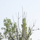 낙동강변16 이미지