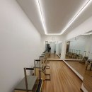 비바라짐 이미지