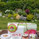 애플빌 | 사과깡패네 애플빌 사과즙