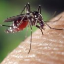 백제예술대학교 이미지