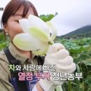 한씨농장 이미지