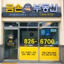 금손(대방 단지내)부동산중개 이미지