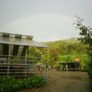 안터사슴농장 이미지