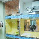 마린시티 종합동물병원 이미지