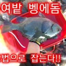 벵에돔 낚시 (Opaleye Fishing)