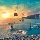 가족이랑 걸었는데 다들 감탄했어요" 60대도 만족한 바다 산책로 이미지