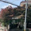 5(月)늘은 말할거야