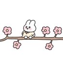 서초중앙로24길 15 이미지