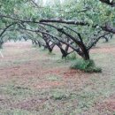 산이네농장 이미지