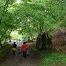 보성강7 | 보성 천봉산 대원사(寶城 天鳳山 大原寺).전남