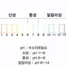 산성뷰티