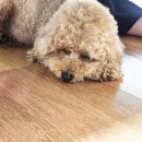 고성2119 이미지