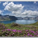 백두산화원 이미지