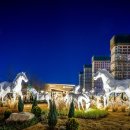 로얄물산 이미지