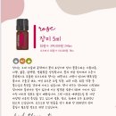피부미인터치
