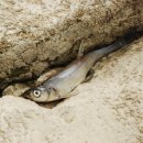 금강정비 이미지