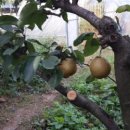 가현농장 이미지