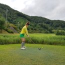 타임스크린골프 이미지