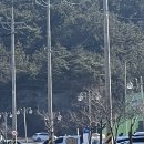 여수 큰 붕어빵 이미지