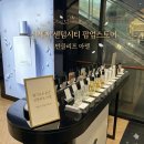 성숙한 스토어 | 부산 신세계센텀시티 팝업스토어 반클리프 아펠향수 다녀온 후기