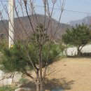 풍요의 정원 이미지