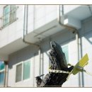 펜션헤브론