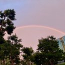 인성신경과의원 | 면접기간 중에 찾아온 안면마비(벨마비,구안와사) 후기 썰(1) - 1주차