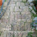 동화조경농원 이미지