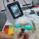 광주동물병원 이미지