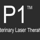 민트동물병원 이미지