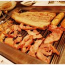 토성오리