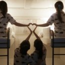 하버드카라반 이미지