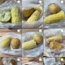 쎄떼치킨 | 6.25때에도 나만 살 쪘을걸? 🌽🥔