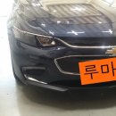 뉴성주카 이미지