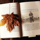 태평3동복지회관 이미지