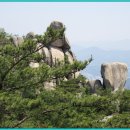 도봉-도봉-서울도봉-2016 이미지