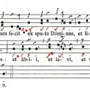 그미 41 Lutum fecit (가해 사순 제4주일 영성체송) 이미지