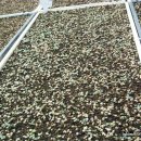 양심농장 이미지