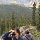 삼일주유소 | 9월 말 캐나다 여행기 기록_Ep.02 밴프여행 시작! 페이토호수 Peyto Lake 방문