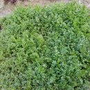 정골농장 이미지