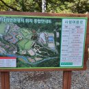 스팅펜션 | 비로봉 코스 바로 앞이라 더 만족했던 샬롬펜션 단양펜션 후기, 계곡 물놀이와 단체 힐링 여행까지 완벽...