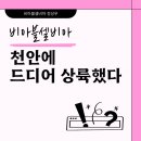 비아블셀비아 - 성남시 수정구 수정로154번길 13-8 | 비아블셀비아