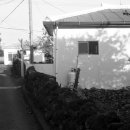 강정동-40 이미지