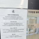으뜸로 | 바로잡음 필라테스 19회차 후기 – 몸이 기억하는 정렬과 안정감 🌿