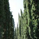 낮은정원 이미지