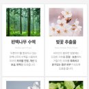 비바워시 이미지
