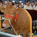 횡성군 농업인 회관 이미지