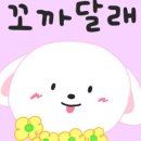 까까 멍 이미지