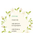 오토샤인 이미지
