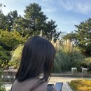 [🇰🇷제주 #完] 제주도 3일차 : 한림읍, 공항 주변 여행 후 복귀!